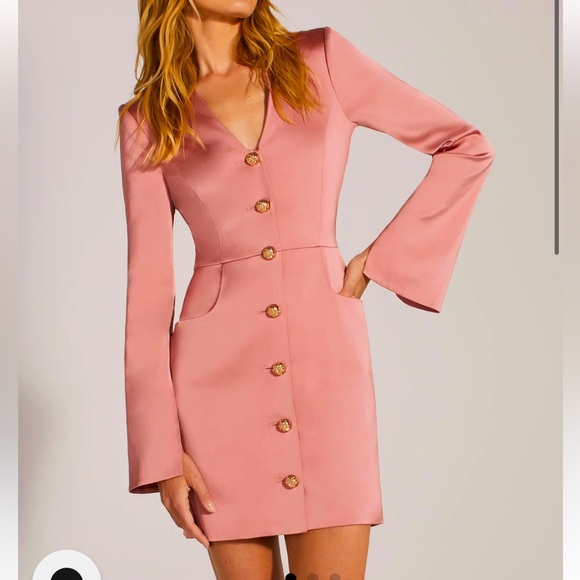 Dusty Rose Mini Dress